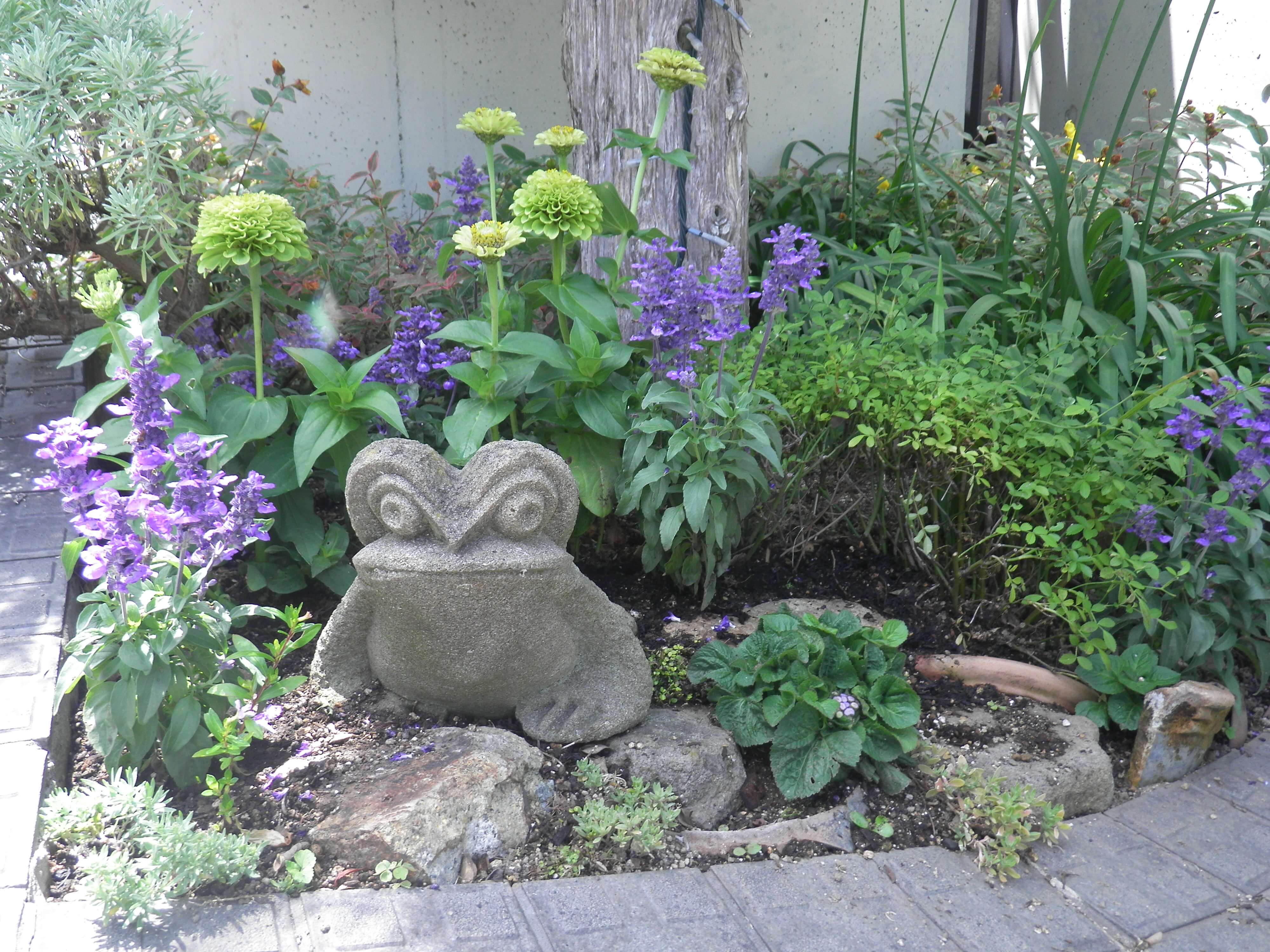 夏の寄せ植え