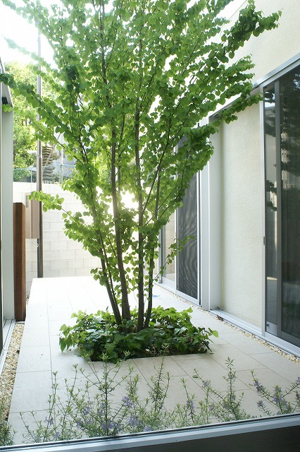 建築家とのコラボ　［芦屋市の外構工事、造園工事］ サブ画像