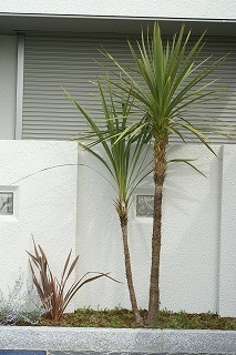 南国リゾート　エクステリアデザイン［豊中市の外構工事、造園工事］ サブ画像